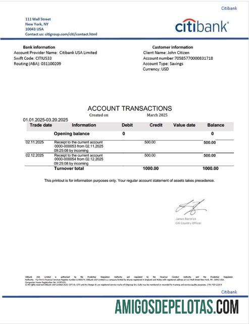 Extrato de conta do Citibank nos EUA para download, modelo Word e PDF